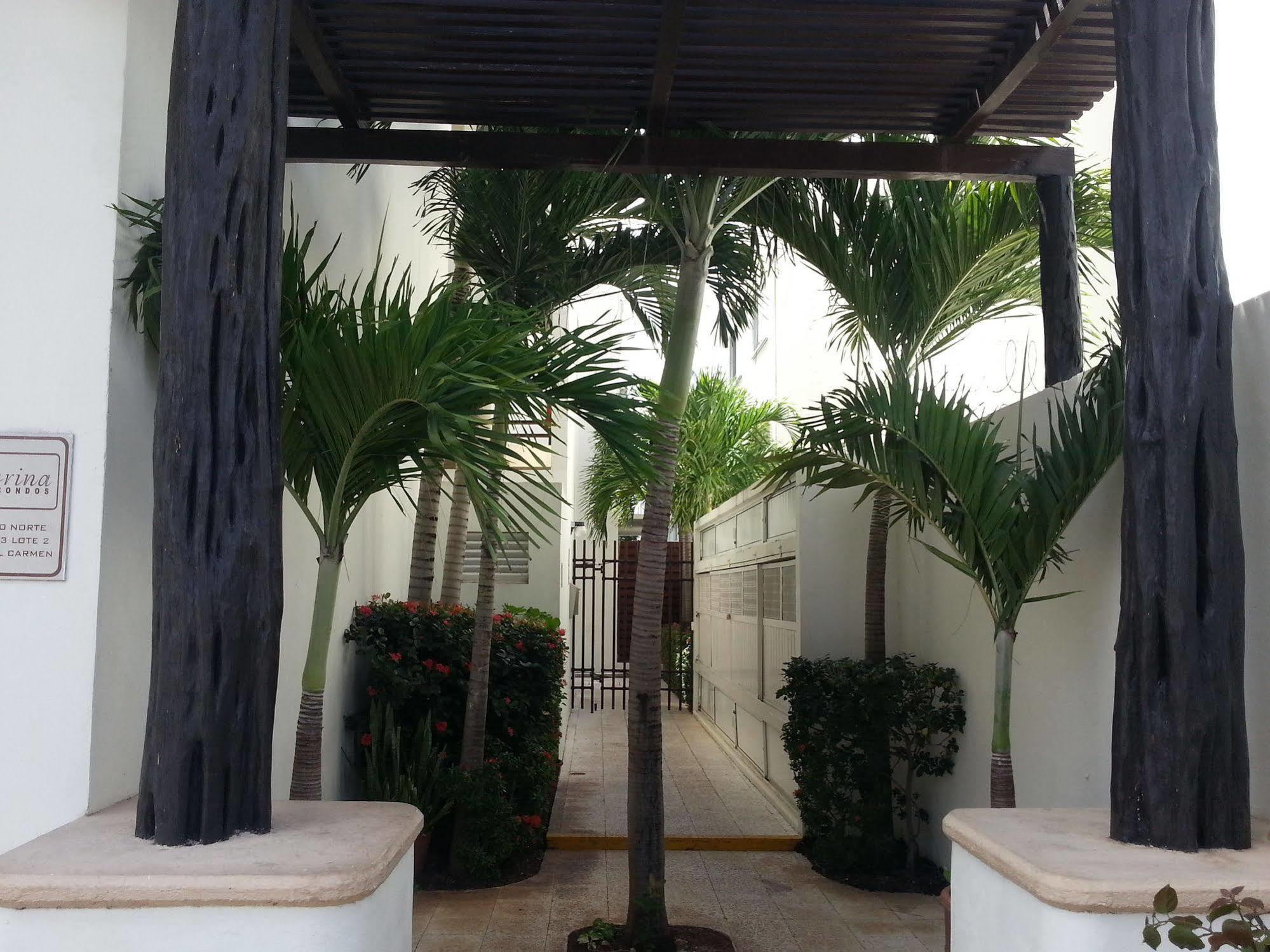Vida Nueva Bed&Breakfast Peregrina Playa del Carmen Exteriör bild